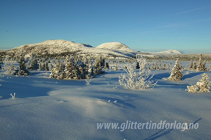 Nesten oppe på Skardåsen med utsikt til Skarvemellen, Rundemellen og videre helt til Skaget.