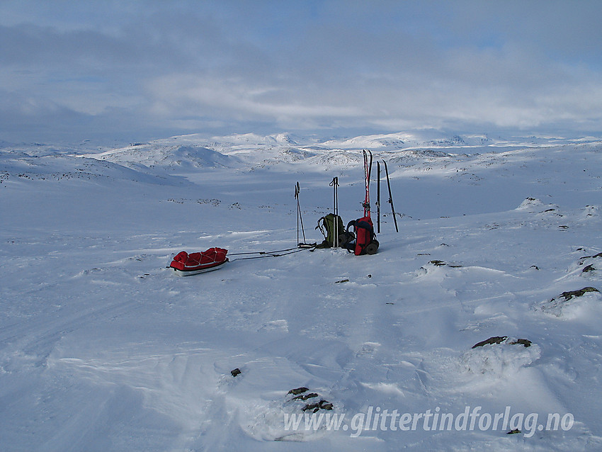 På topp 1771 moh på Gråhyrneran i Skarvheimen.