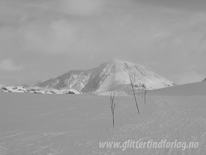 På tur fra Eidbsugarden mot Gjendebu, her på overgangen mot Veslådalen. Besshøe (2258 moh) i bakgrunnen.