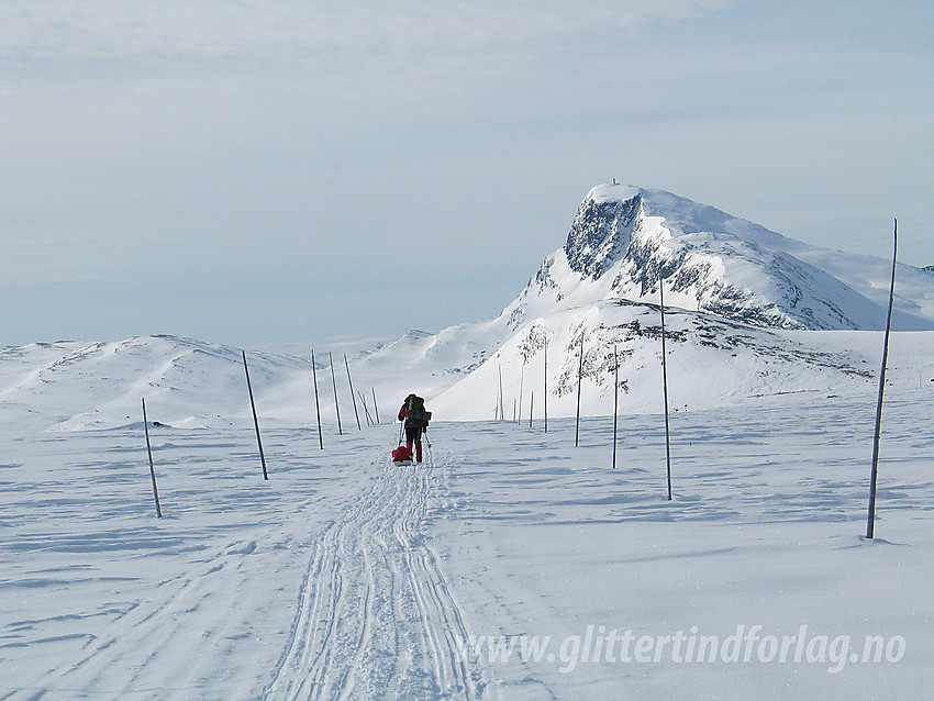 På vei sørover fra Valdresflye med Bitihorn (1607 moh) i bakgrunnen.