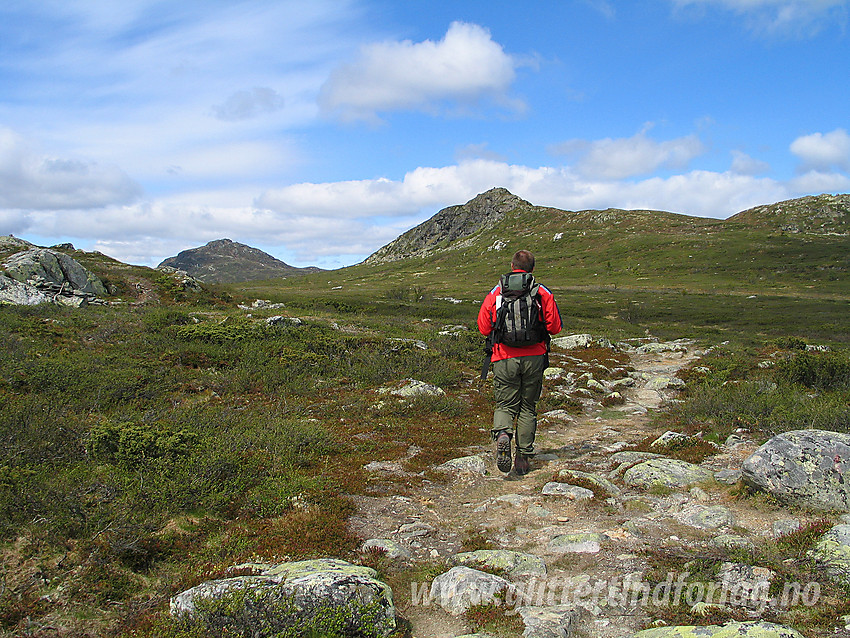 På vei fra Tronhus (Lenningen) mot Djuptjernkampen. Solskiva (1184 moh) midt i mot og Djuptjernkampen (1325 moh) bak til venstre.