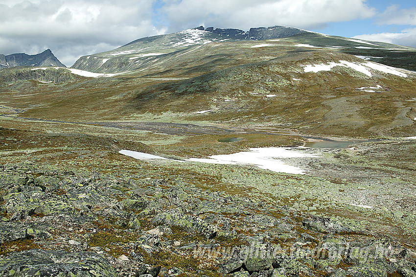 På vei innover mot Skredahøin mot dalbunnen med Svone og videre via Hettpyntan til Snøhettamassivet (2286 moh).