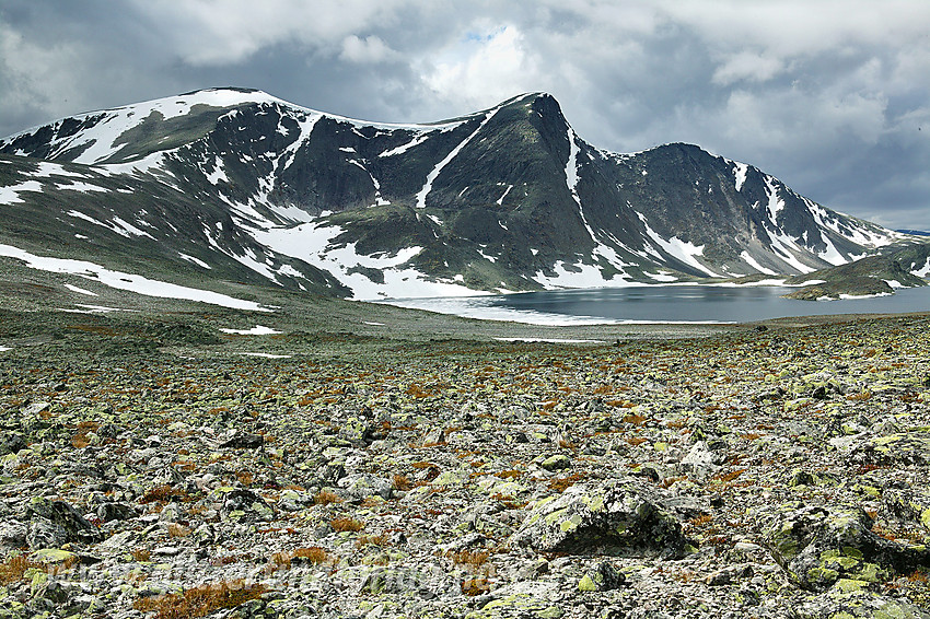 På vei mot Skredahøin. Store Skredahøe (2004 moh) til venstre, 1994-toppen i midten og Nørdre Skredahøe (1943 moh) til høyre. Foran til høyre ses en del av Svånåvatnet.