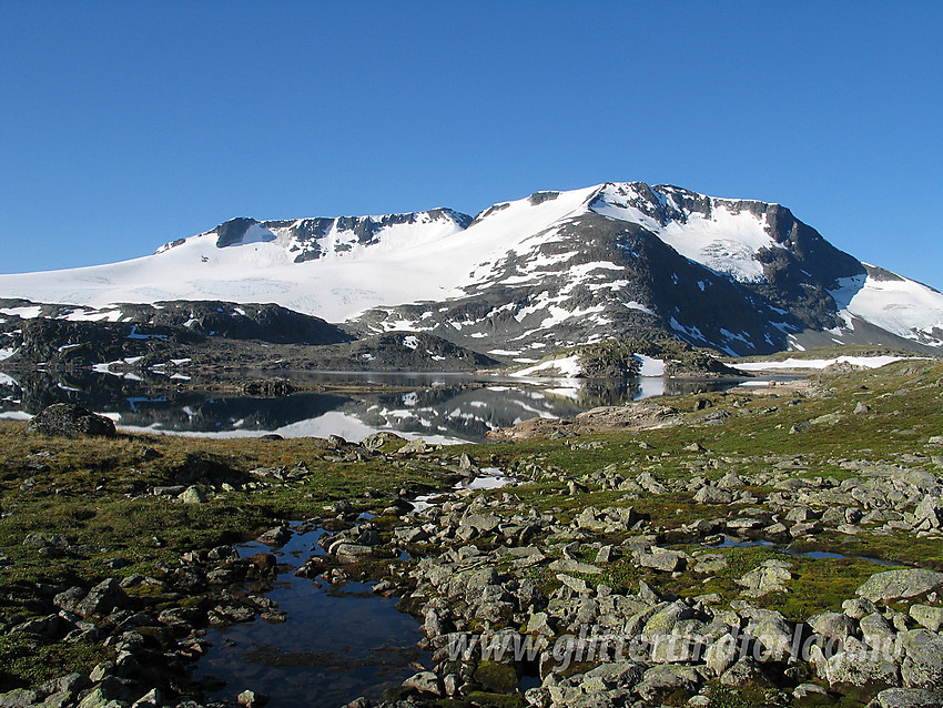 Sommermorgen ved Prestesteinsvatnet på Sognefjellet mot Fannaråken (2068 moh) og Store Steindalsnosi (2025 moh).