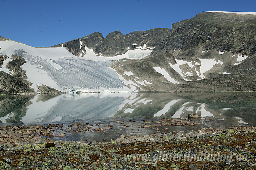 Herlig høstdag på Dovrefjell ved Istjønni som speiler Snøhettamassivet (Vesttoppen til venstre), og breen i Gryta.