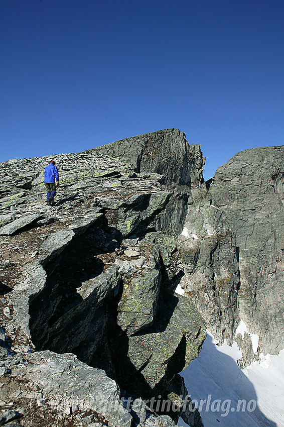 På vei opp mot Snøhettas Vesttopp (2253 moh) via sørøstryggen.