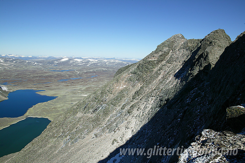 På ryggen litt nedenfor Vesttoppen på Snøhetta mot Midttoppen og Hettpiggen. Legg merke til de to bittesmå skikkelsene på Hettpiggen.