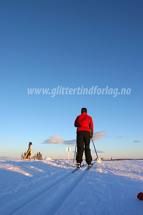 På vei over toppen på Skardåsen.