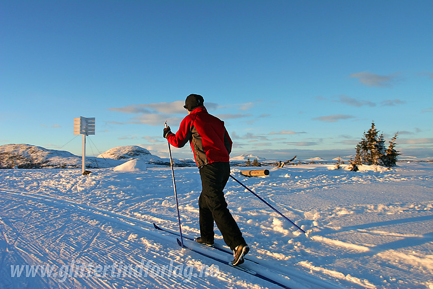 Skiløper på Skardåsentoppen (1071 moh).