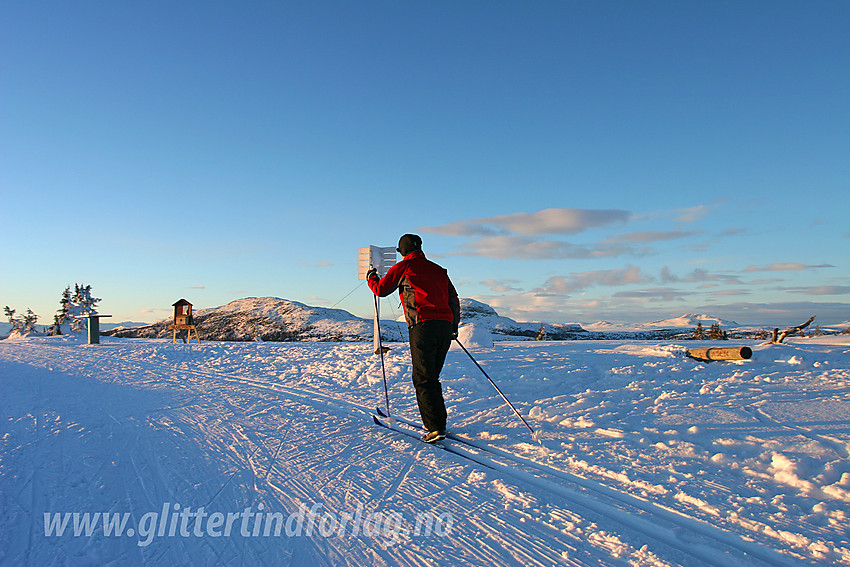 Skiløper på Skardåsentoppen (1071 moh).