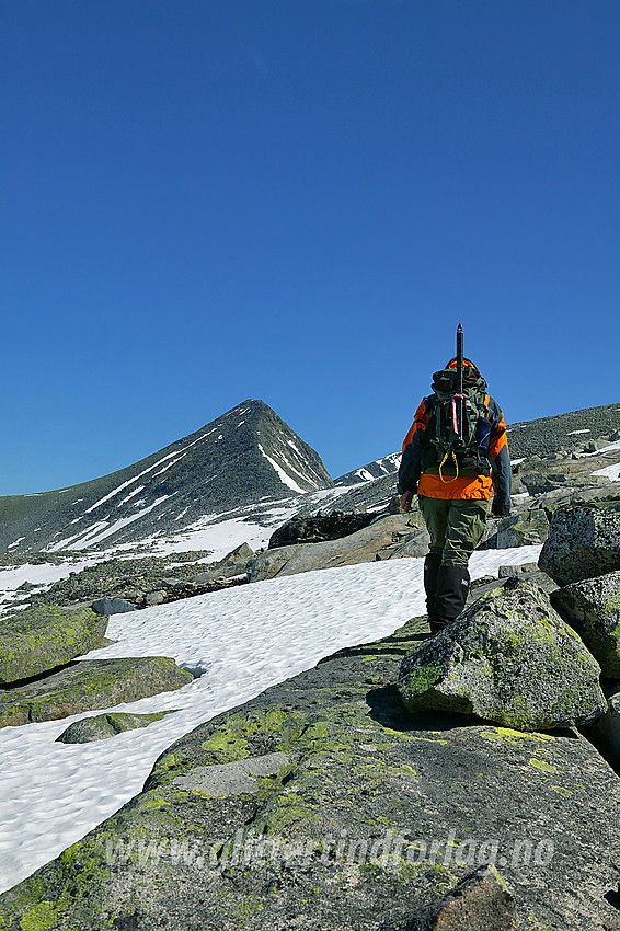 På vei mot Vestraste Hestbreapiggen (2078 moh) fra sørvest. 