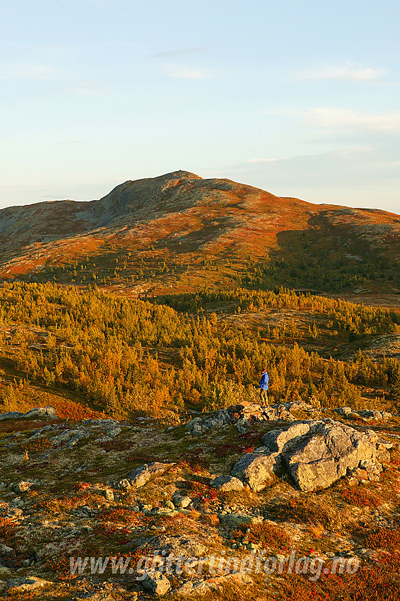 Fra Steinknatten mot Binnhovdknatten (1165 moh).