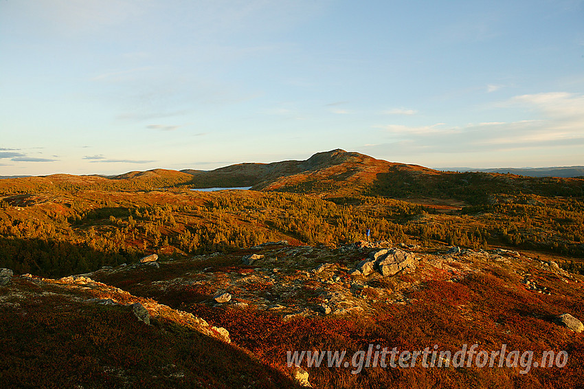 Fra Steinknatten mot Binnhovdknatten (1165 moh).