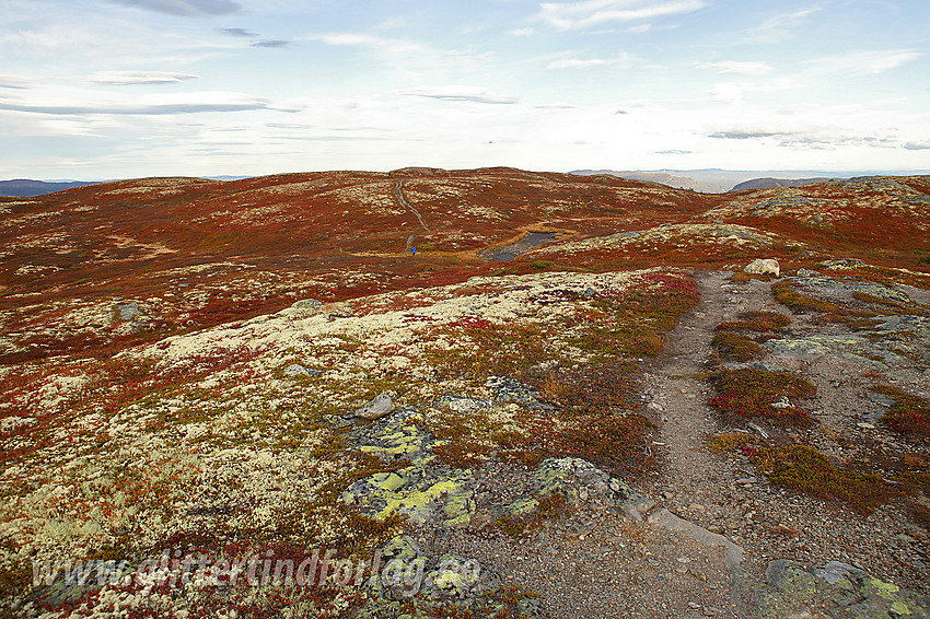 På platået mellom Vest- og Østtoppen på Makalausfjellet.