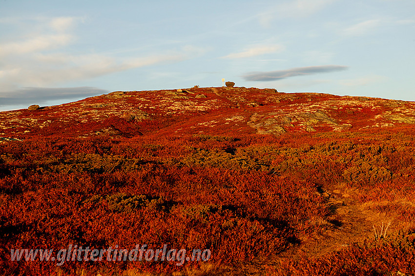 Makalausfjellet (1099 moh) på grensa mellom Nord og Sør-Aurdal.