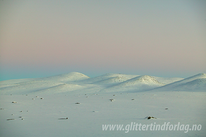 På Valdresflye etter solnedgang med utsikt østover i retning Gråhøe.