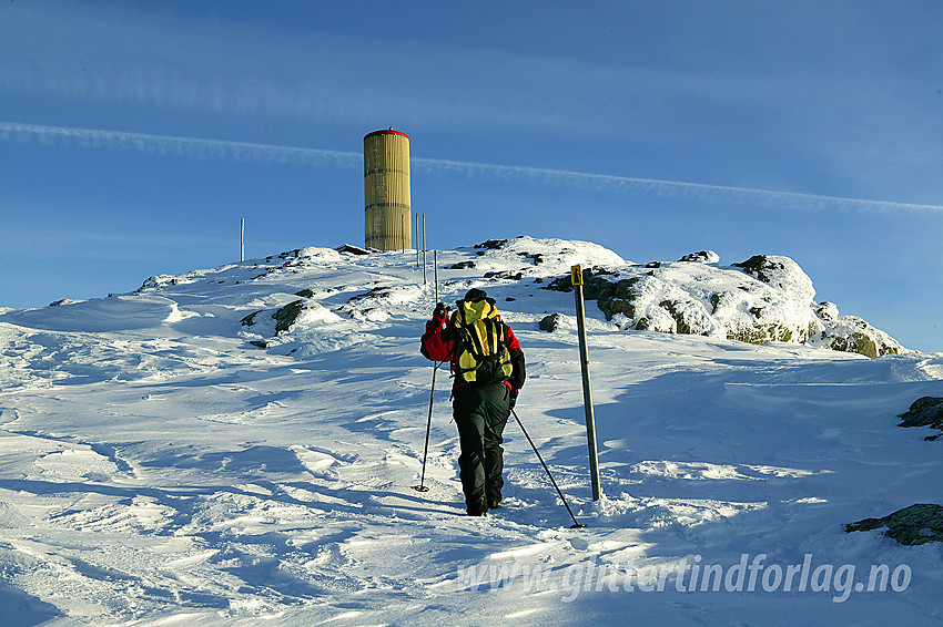 På vei opp de siste meterne mot Bitihorn (1607 moh).