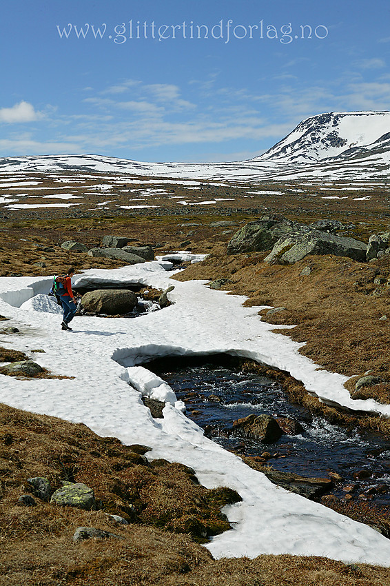 Fjelltur på forsommeren. Her krysses nordsiden av Valdresflye og bak til høyre ses Øystre Rasletinden (2010 moh).