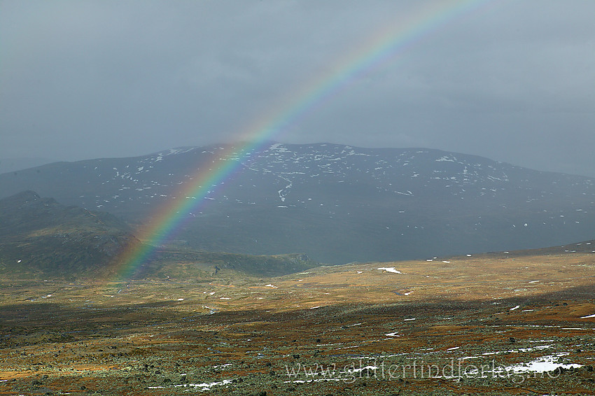 Regnbue over Valdresflye. Heimdalshøe i bakgrunnen.