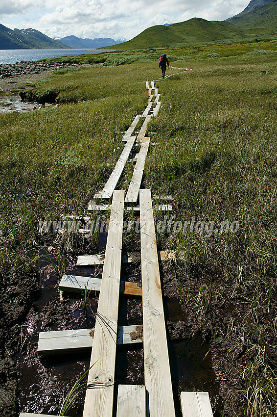 På vestover langs Bygdin. Over enkelte myrpartier er det anlagt "plankevei", for å skåne vegetasjonen og gjøre det enklere for fjellvandrere.