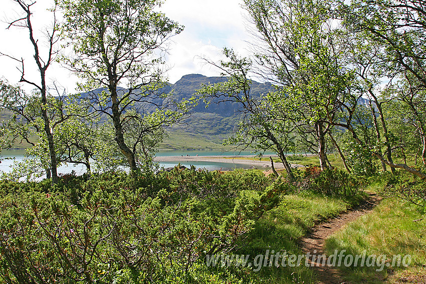 Hamnsanden er et idyllisk sted omlag 1 km fra Gjendesheim langs Gjende på stien mot Memurubu.