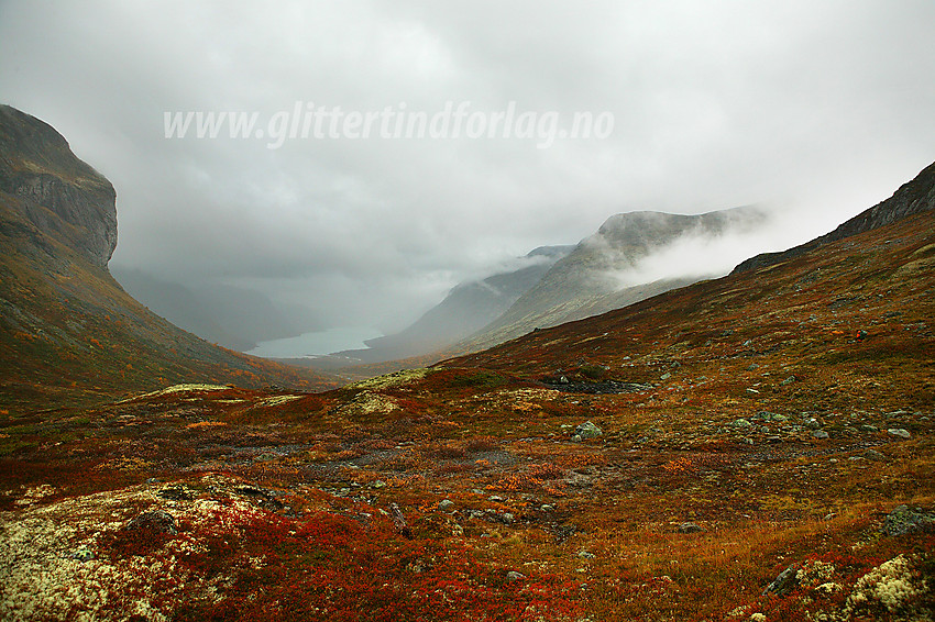 Regntung høstdag i Veslådalen. I bakgrunnen ser man Gjende.