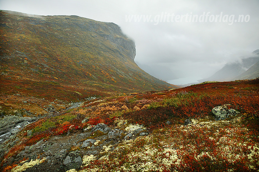 Regntung høstdag i Veslådalen med Gjendetunga i bakgrunnen.