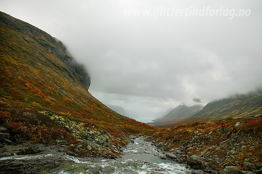 Regntung høstdag i Veslådalen med Vesleåe i forgrunnen.