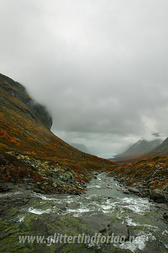 Regntung høstdag i Veslådalen med Vesleåe i forgrunnen.