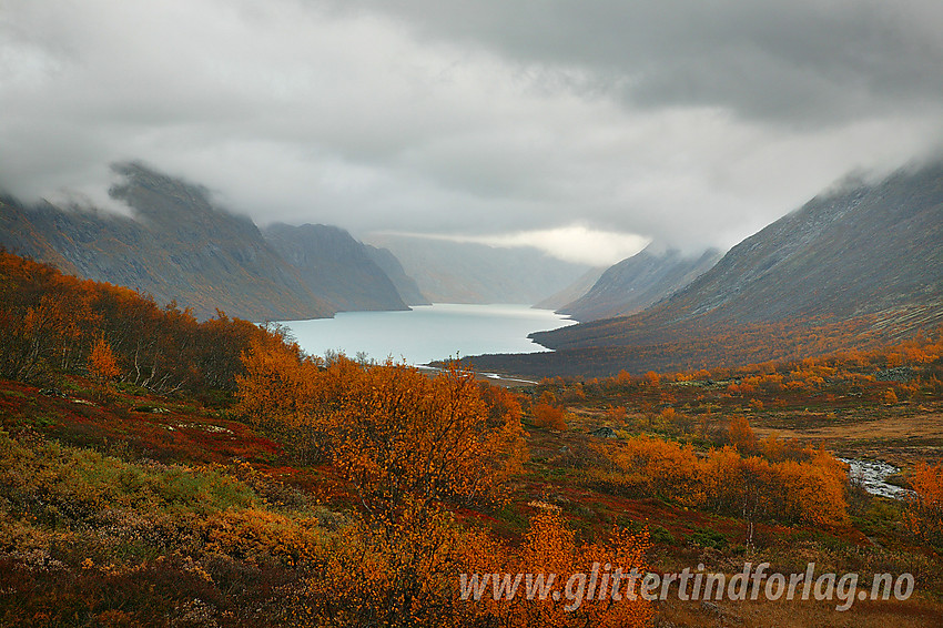 Regntung høstdag i Veslådalen.