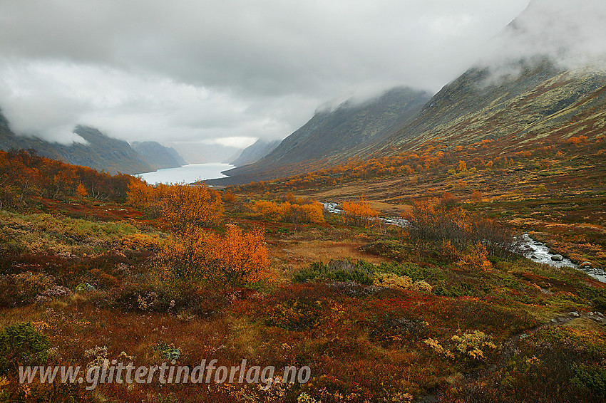 Regntung høstdag i Veslådalen.