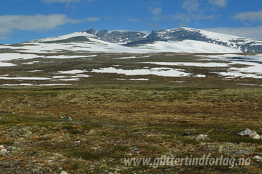 I Svånådalen nær Maribue mot Snøhettamassivet.