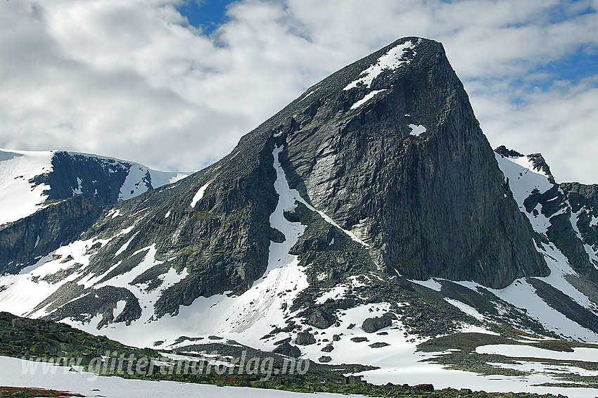 Bruri (2001 moh) i Svånådalen.