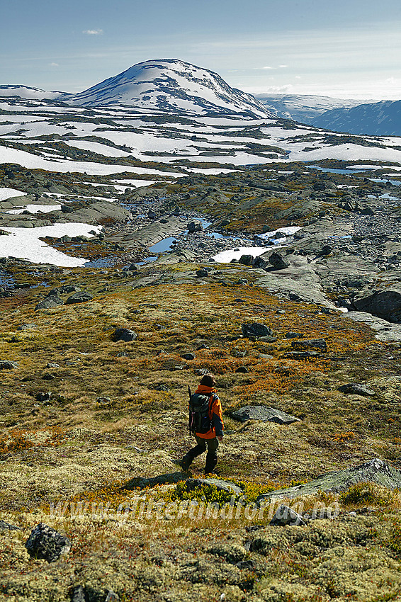 Fjellvandring i Breidalen.