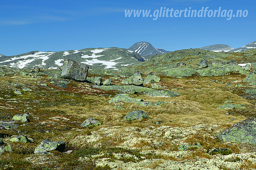 I Breidalen med Vestraste Hestbreapiggen (2078 moh) i det fjerne.