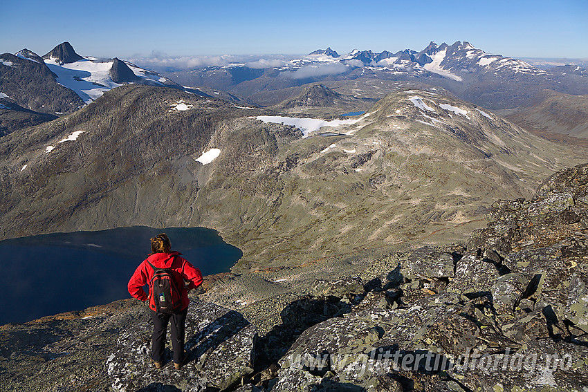 Fra sørryggen på Uranostinden mot Uradalsvatnet, Skarbottsnosi, Uradalsbandet, Stølsnostinden og Hurrungane - for å nevne noe.