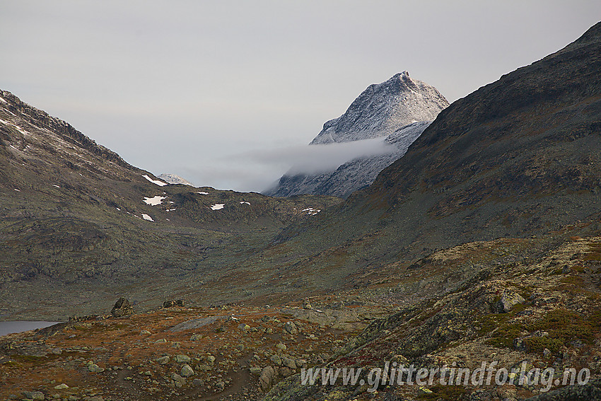 Mjølkedalstinden (2138 moh) sett fra sørenden av Mjølkedalsvatnet.