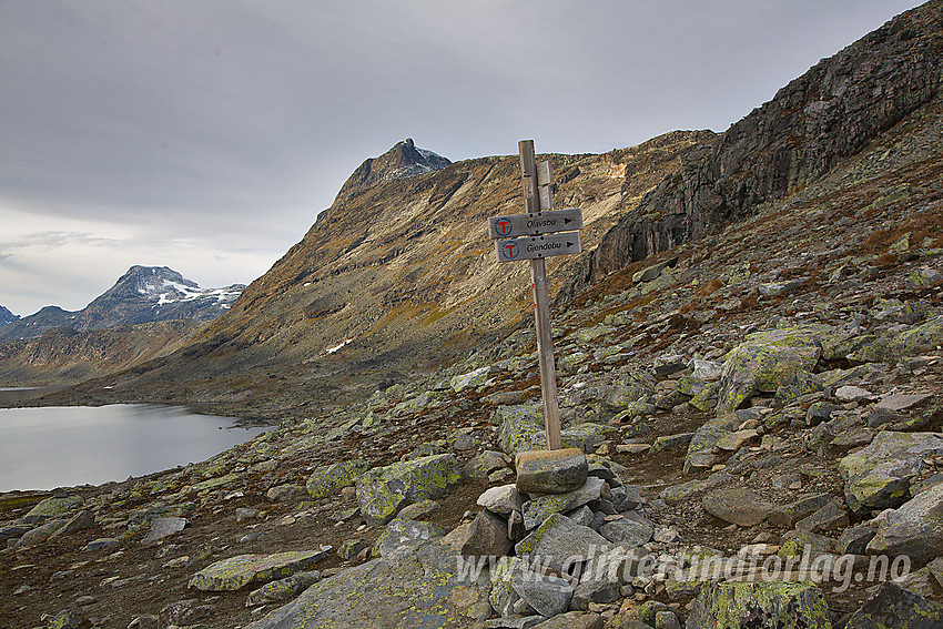 I Øvre Mjølkedalen ved stidele. I bakgrunnen Mjølkedalstjørni og Mjølkedalstinden.