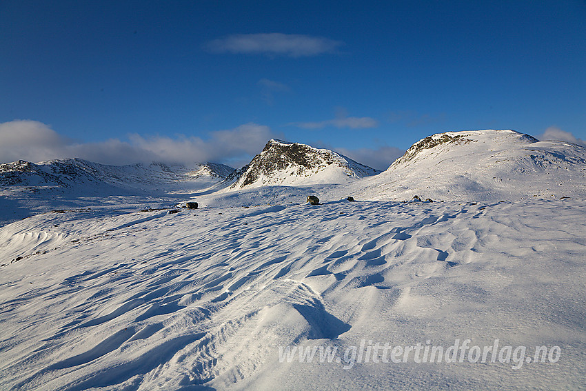 På vei mot Sendehornene med Vesle (1331 moh) til høyre og Store (1503 moh) bak i midten.