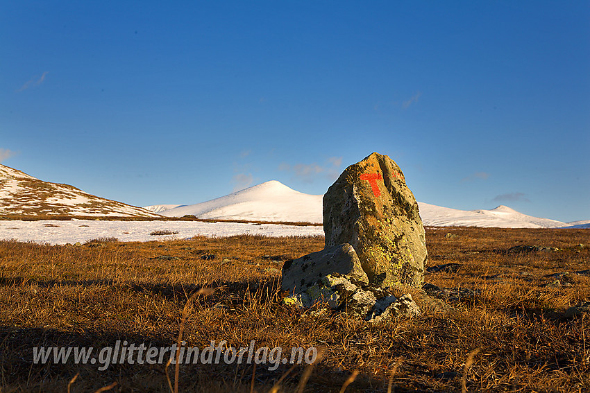 Rød T på stien fra Bessheim opp til Besvatnet. I bakgrunnen ses Nautgardstinden (2258 moh).