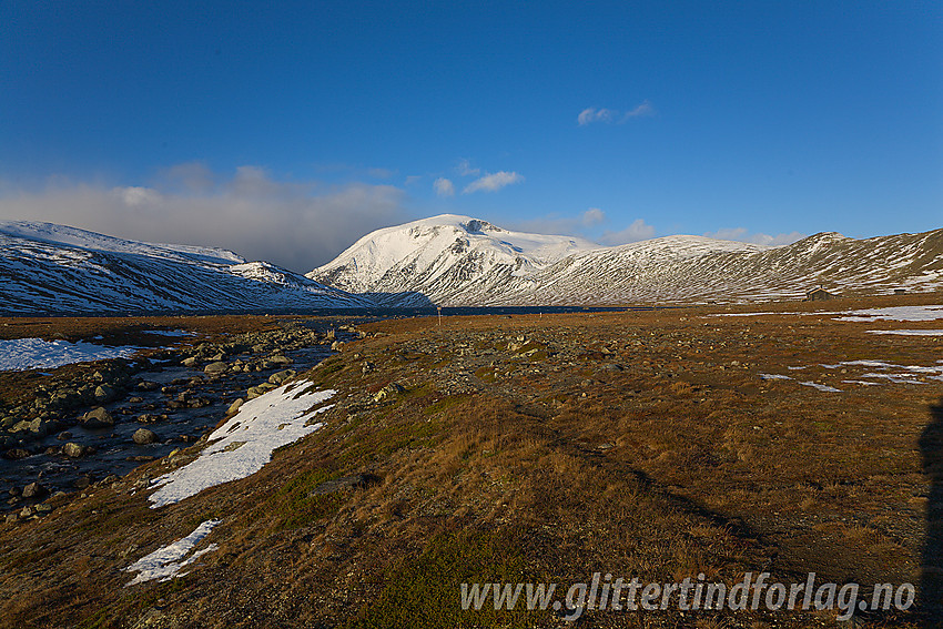 På vei fra Bessheim mot Bessvatnet, like nedenfor sistnevnte, med Besshøe (2258 moh) i bakgrunnen.