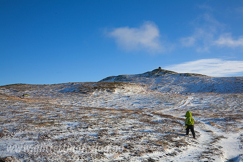 Mot Nystølsvarden (1295 moh) på Golsfjellet fra vest.