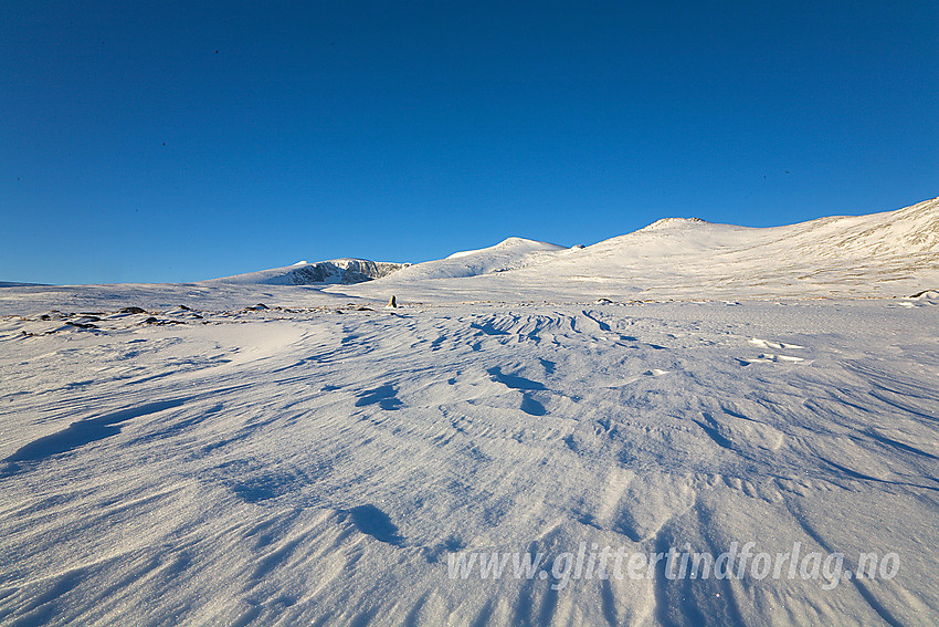 På Hindflye med Stornubben (2174 moh) bak i midten.