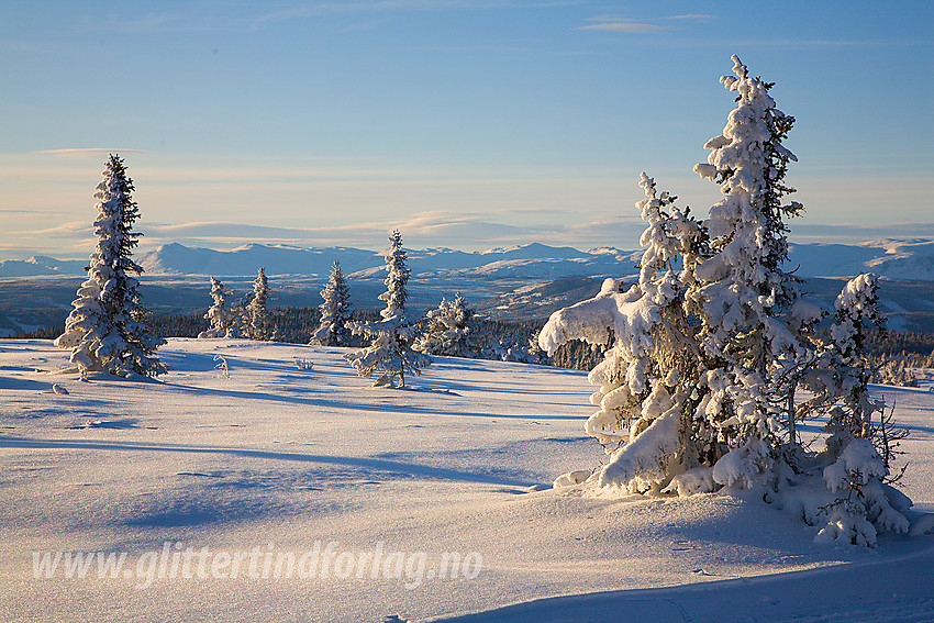 På toppen av Skardåsen med utsikt mot Hemsedalsfjella.