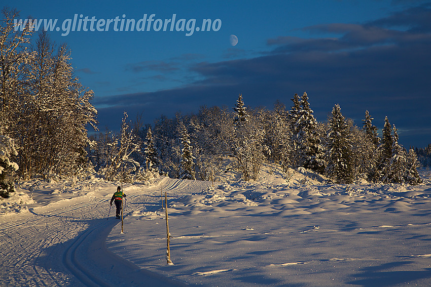 På tur i Skardåsenløypa i Skrautvål, ved Sæbustølmyran.