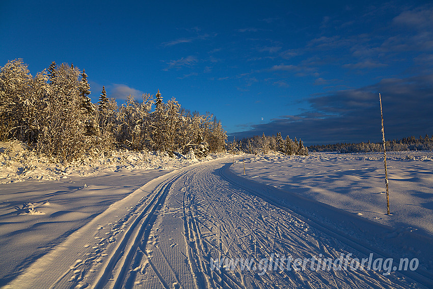 I Skardåsenløypa ved Sæbustølmyrane. Skardåsenløype er en av de mest populære skiløypene i hele Valdres.