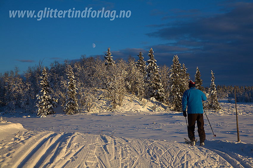 I Skardåsenløypa ved Sæbustølmyrane. Skardåsenløype er en av de mest populære skiløypene i hele Valdres.