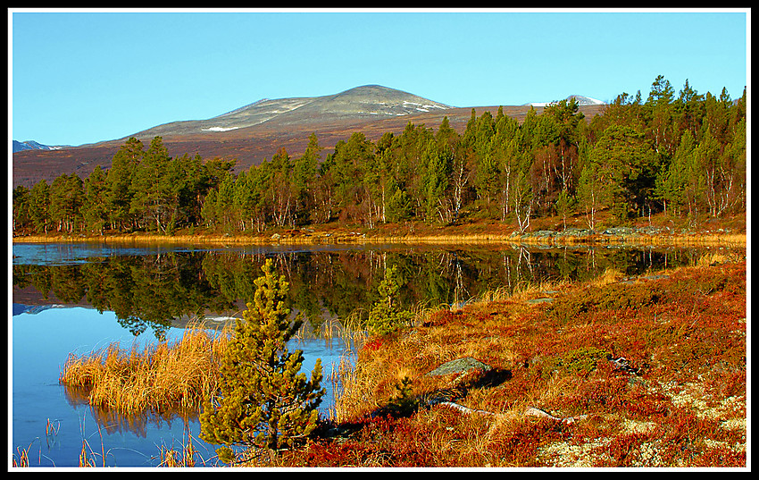 En høstdag ved Birisjøtjern