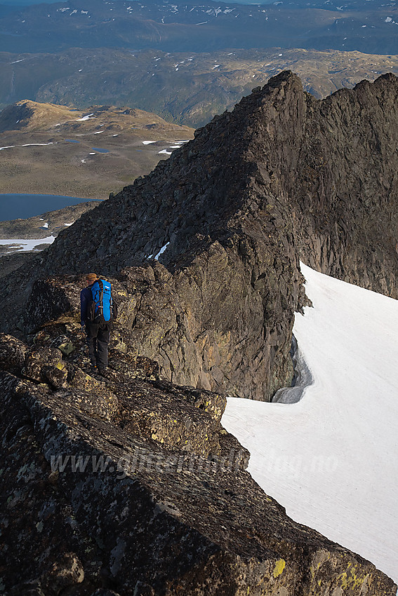 På vei ut sørryggen på Slettmarkhøe med Slettmarkhøe S2 (ca. 2105 moh) i bakgrunnen.