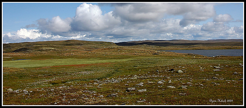 Hardangervidda ved Dyranut 1240 moh